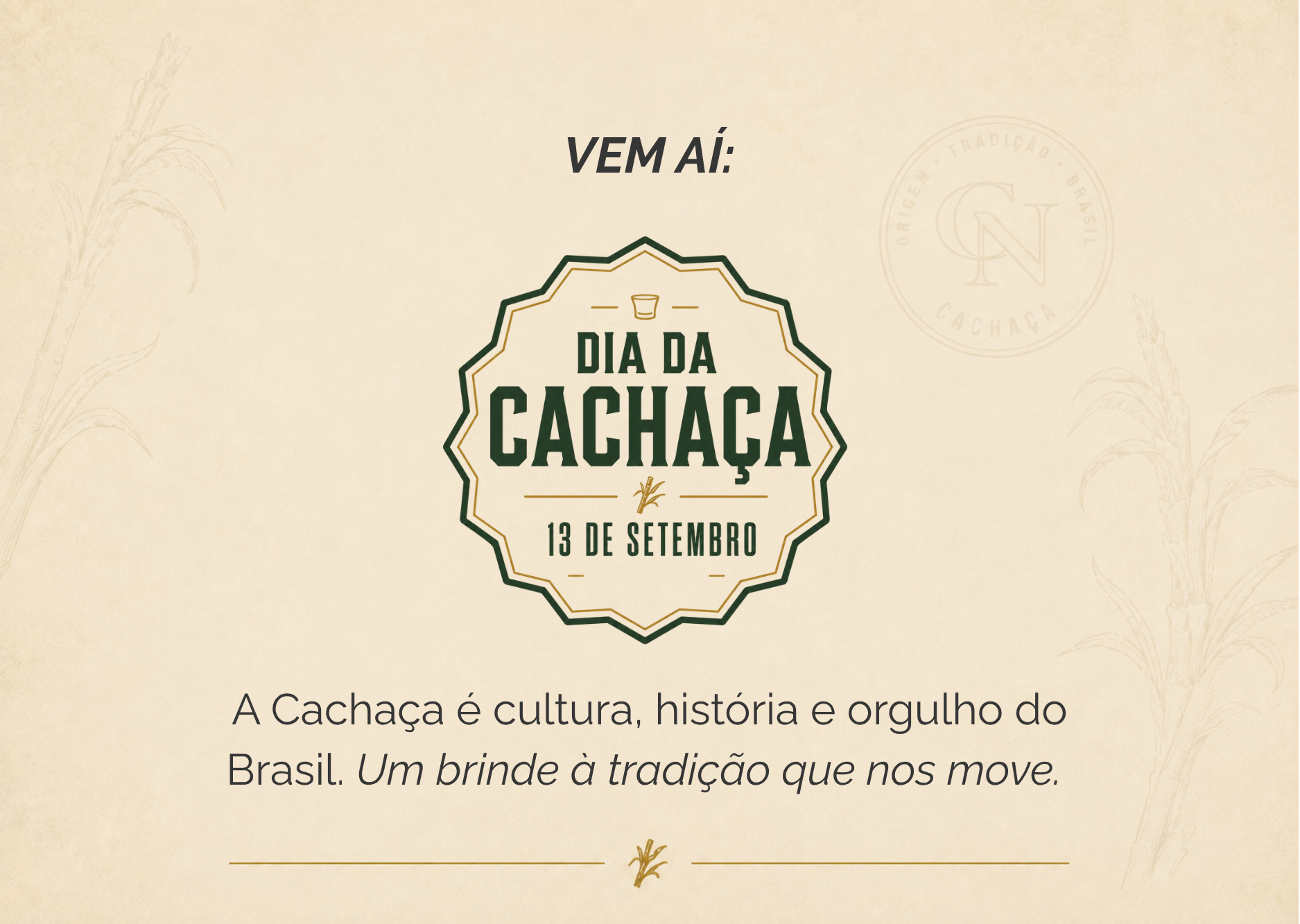 MOBILE VEM AI DIA DA CACHAÇA